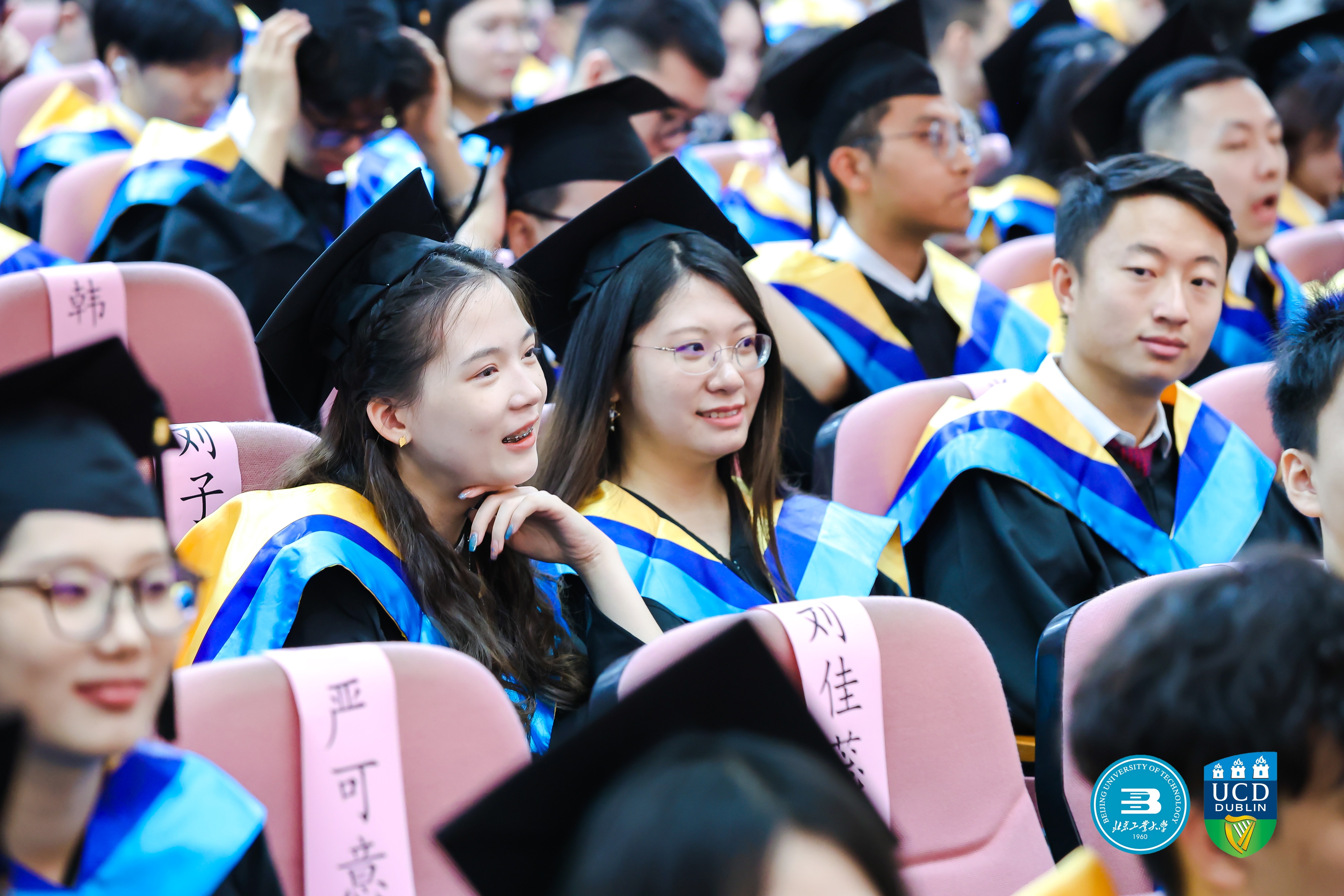 Students at Conferring