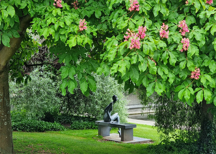View of sculpture through the tress