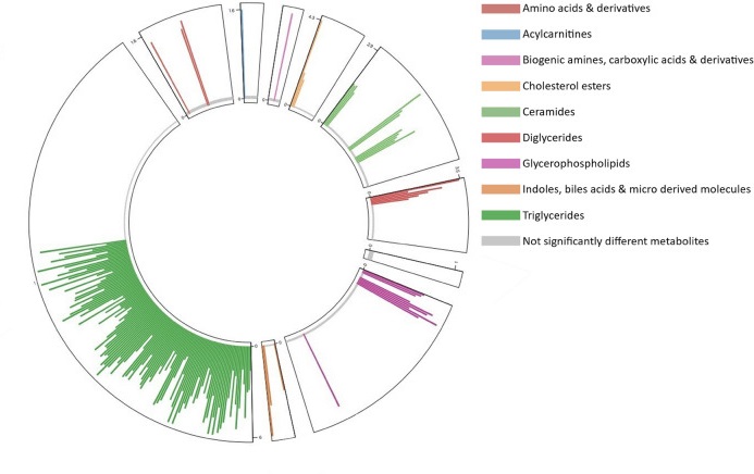 Circular graph with colours representing components of milk