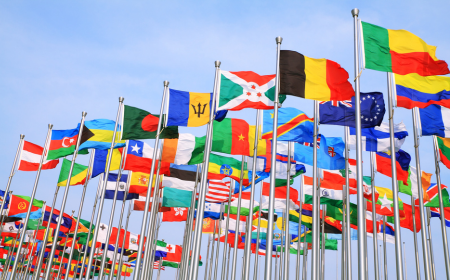 An image of various world flags against a blue sky