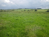 Image of grassland