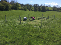 image of reseachers working on grassland