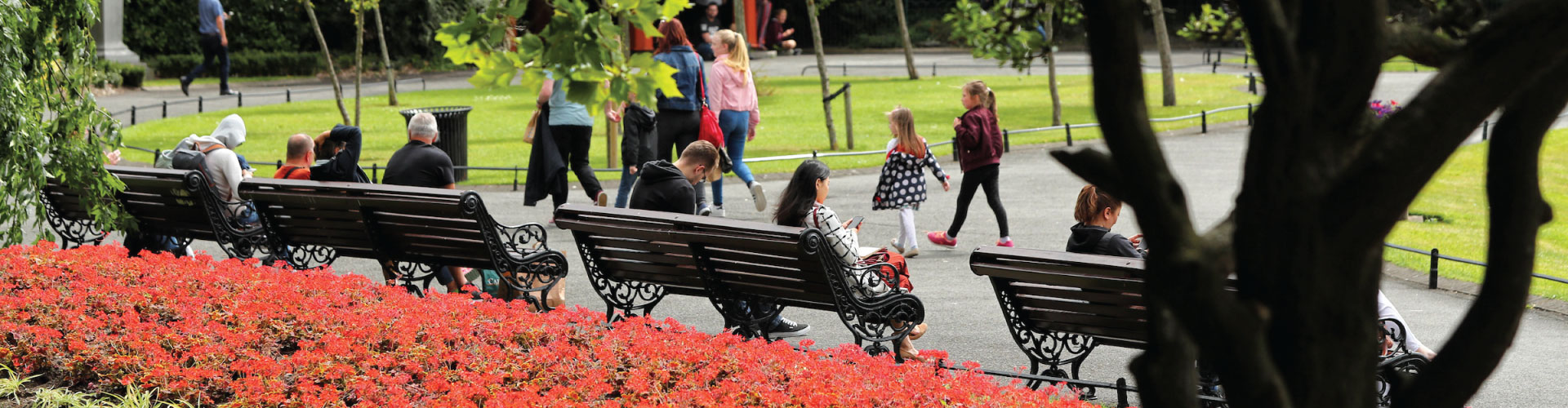 Flowers and green open spaces at Dublin St Stephens Green