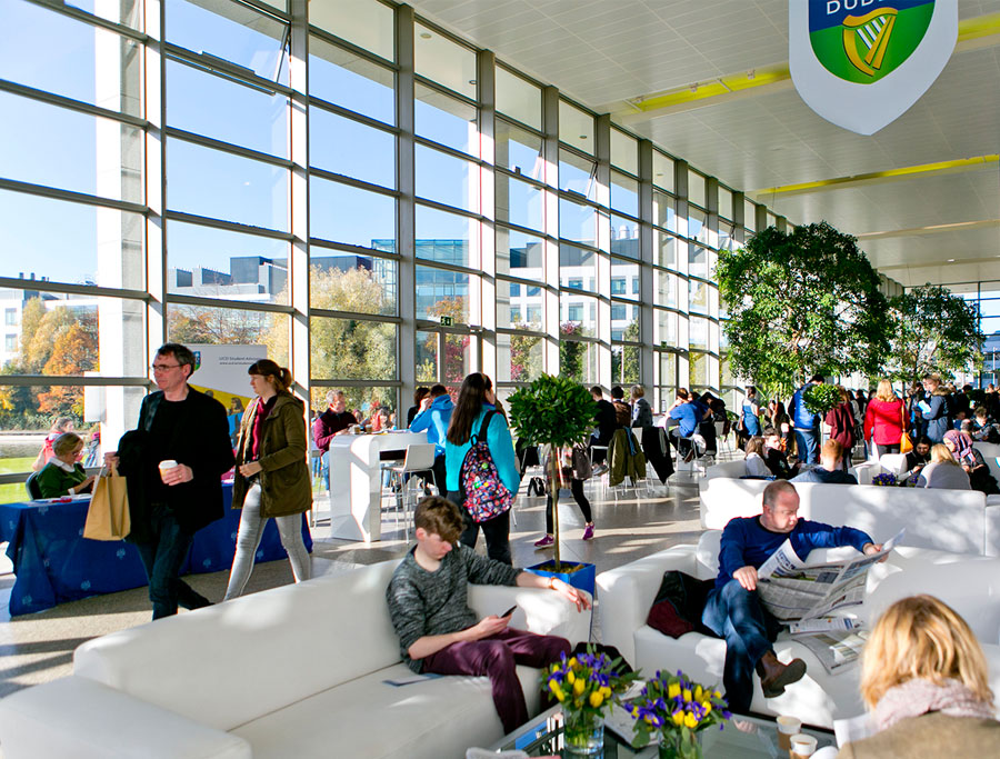 Discover Your Options & Learn from the Experts