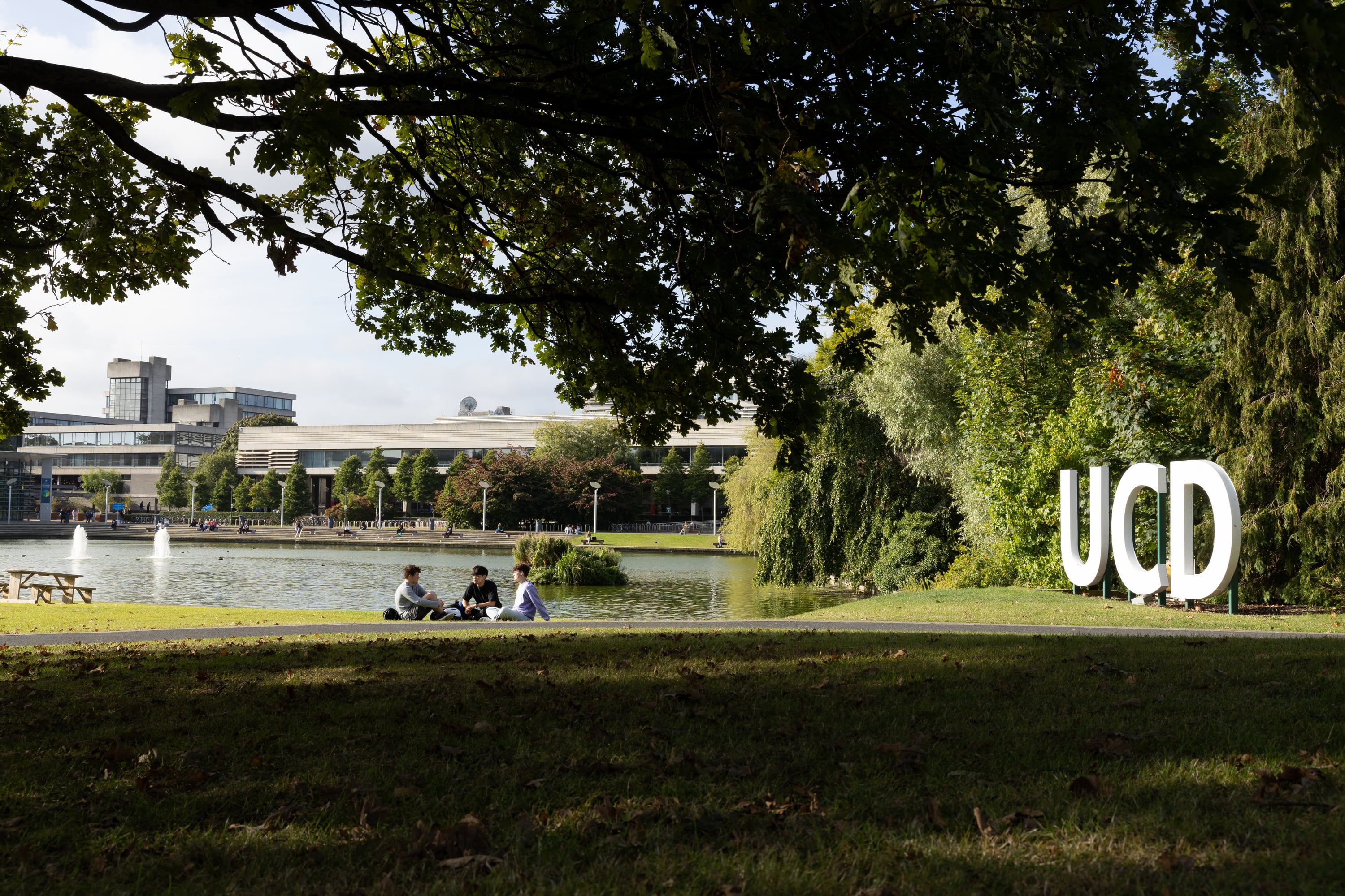 Students sitting by the lake