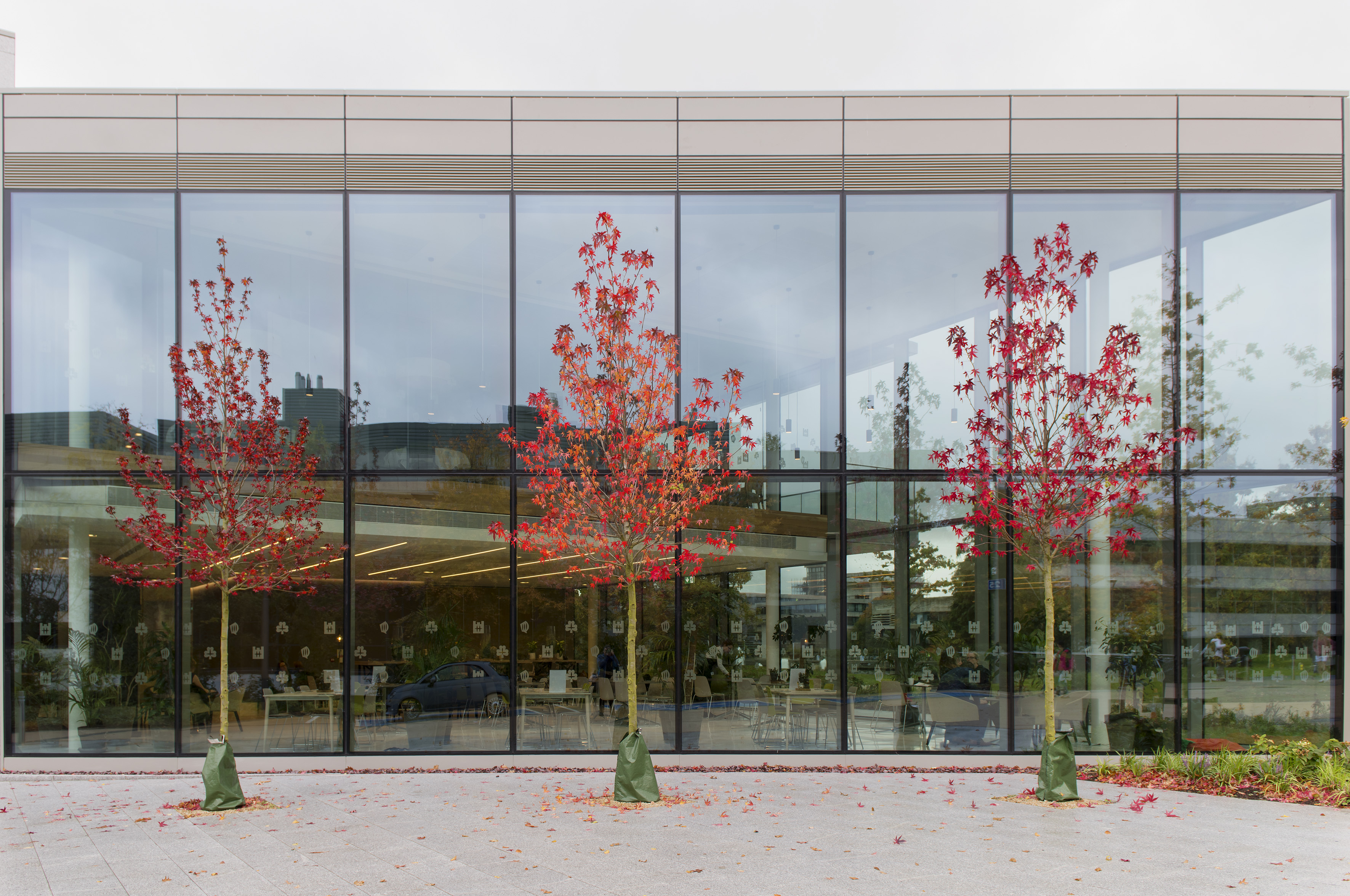 UCD University Club exteriors with autumnal colours and foliage