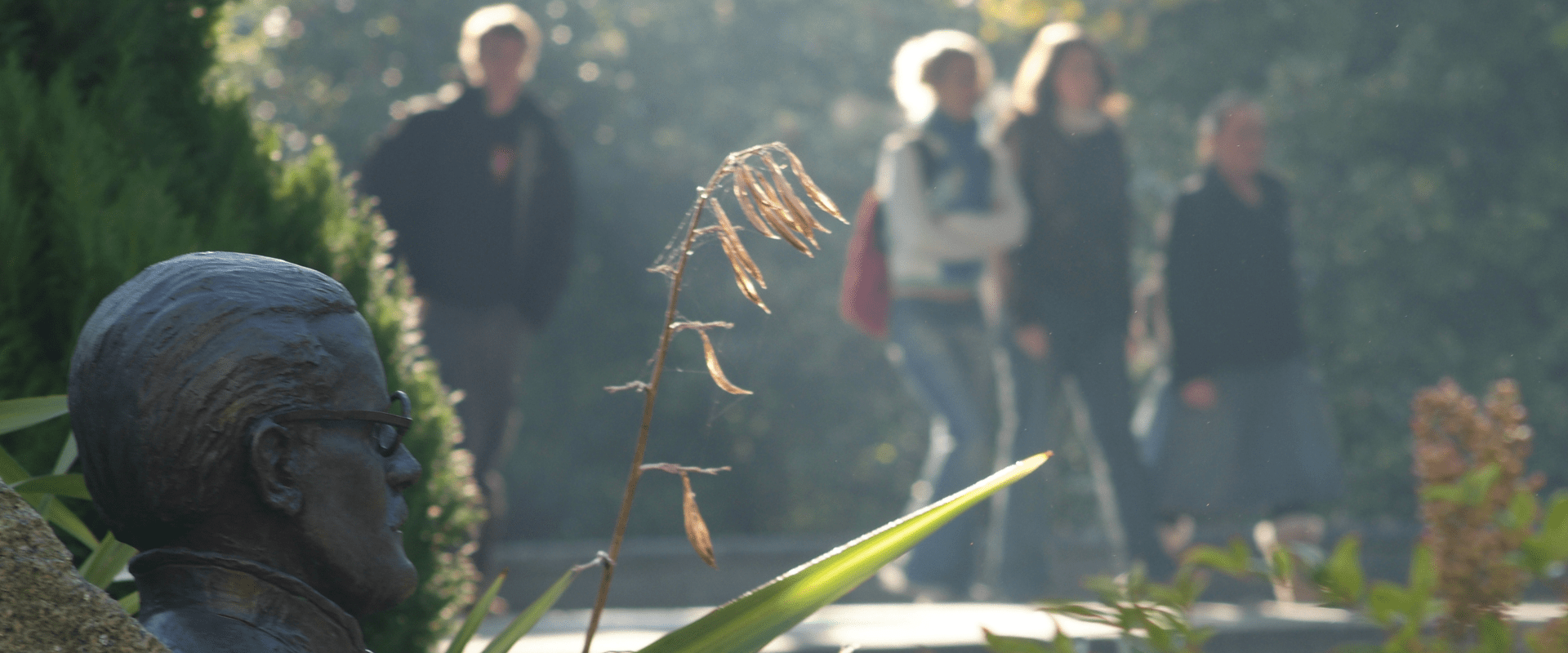 Students on UCD Campus