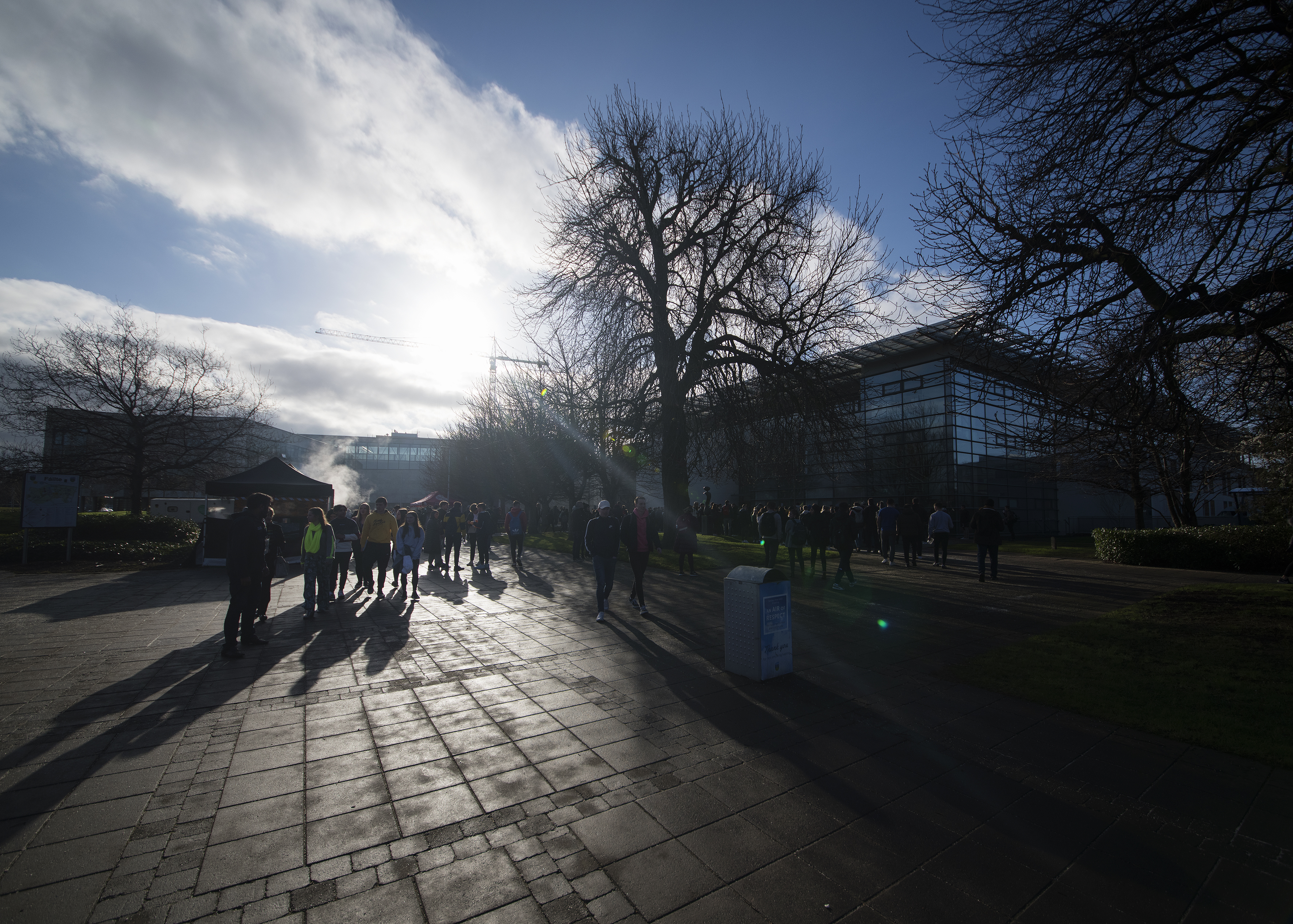 Image of UCD campus with students gathered in the foreground with university buildings behind, a tree silhouetted against a winter sky with clouds and sun shining through