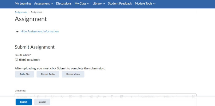 Key Features of Assignment Submissions