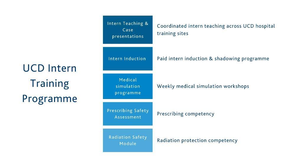 4_InternTrainingProgammeGraphic_InternNetwork