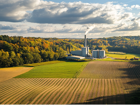 Biomass Innovation & Business