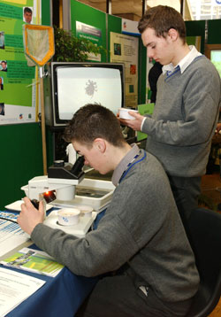 John Crosby and Sean Traynor from Colaiste Ris, Dundalk.