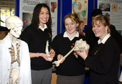 Hannah Quinlan, Denise Boyle & Olivia Hogan.