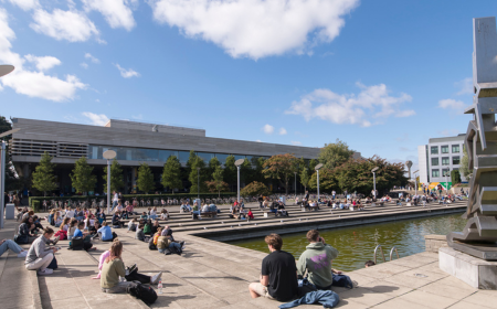 Students sitting around UCD lake on a sunny day