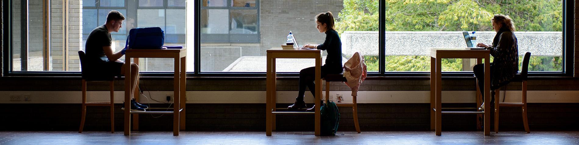 Students studying in Newman