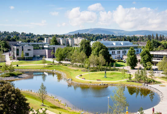 UCD