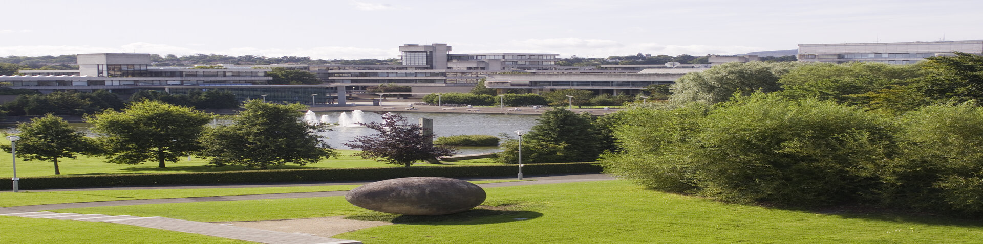 Image of UCD campus