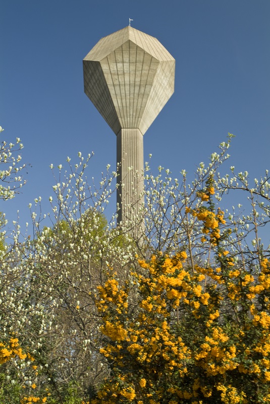 UCD water tower framed by colourful flowers in the spring