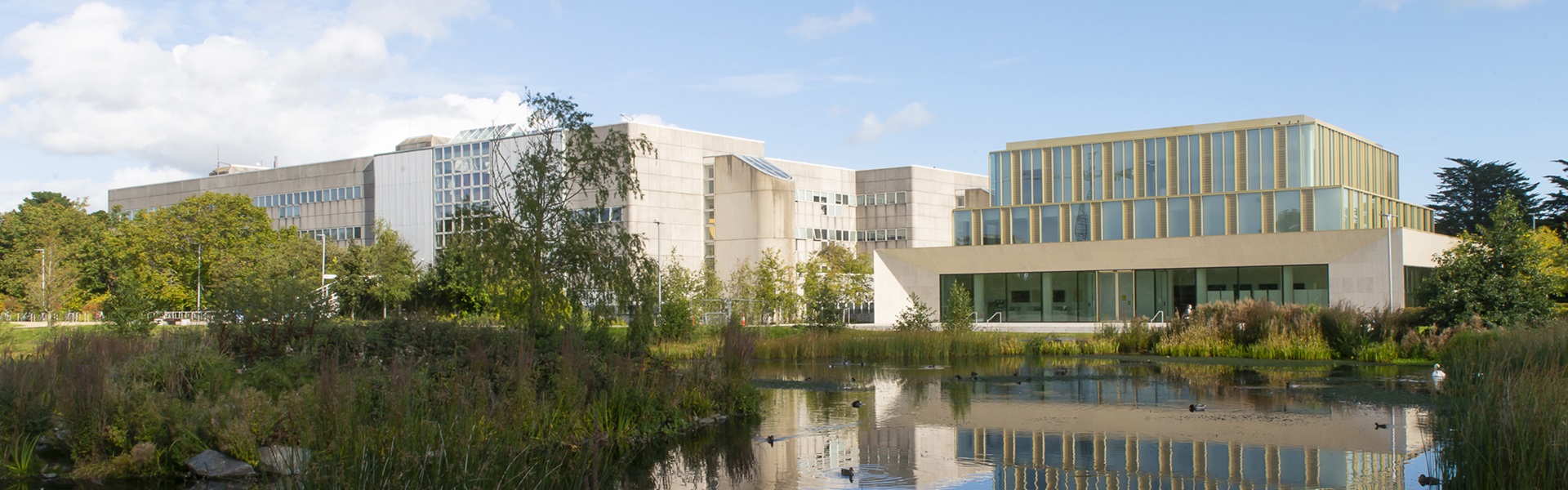 UCD Belfield Upper Lake surrounded by twenty-first century campus buildings