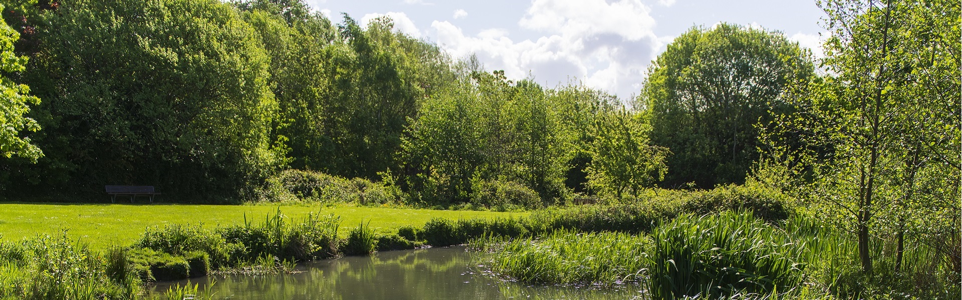 UCD Secret Lake in sunshine