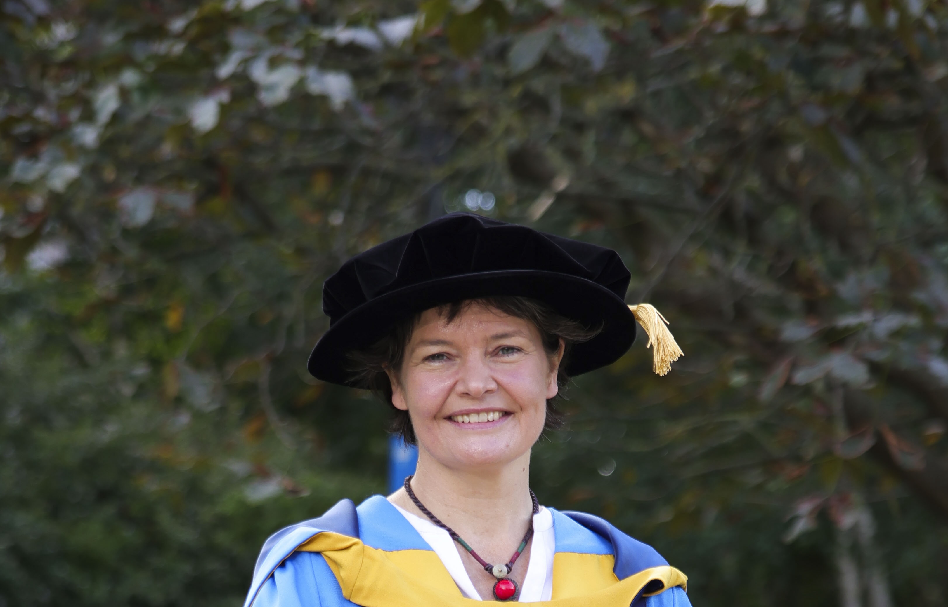 Kate Raworth in UCD