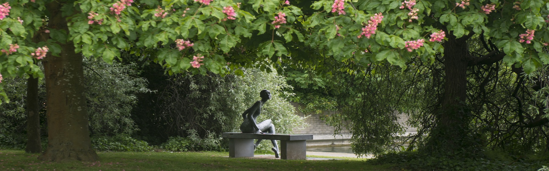 UCD Belfield statue of a wraithlike woman on a bench surrounded by the flowering leaves of a pink horsechestnut tree